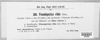 Pseudopeziza ribis image